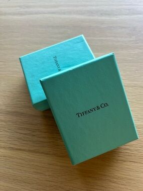 Tiffany & Co. Robin's Egg Blue Jewelry Boxes (Pair)